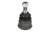 Нижняя шаровая опора febі bilstein 01719