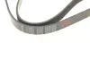 Пасок велоклиновий febі bilstein 177991