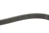 Пасок велоклиновий febі bilstein 177991