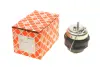Подушка (опора) двигателя febі bilstein 22646