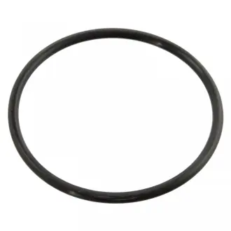 Прокладка термостата Febі Bilstein 10258