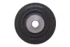 Pulley febі bilstein 103789