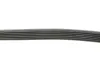 Ремень генератора febі bilstein 28915
