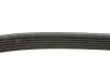 Ремень генератора febі bilstein 28933