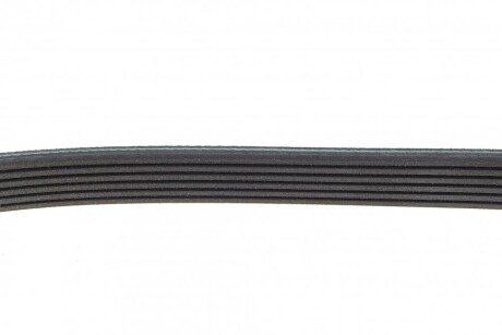 Приводной ремень генератора febі Bilstein 28996