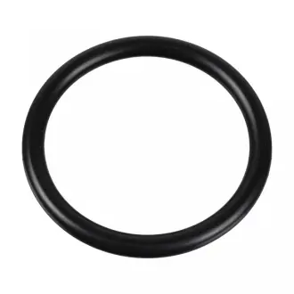 Sealing Ring febі bilstein 174322
