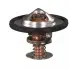 Термостат LEXUS; TOYOTA (пр-во FEBI) febі bilstein 33493