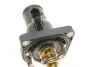 Термостат з ущільнюючим кільцем febі bilstein 39144