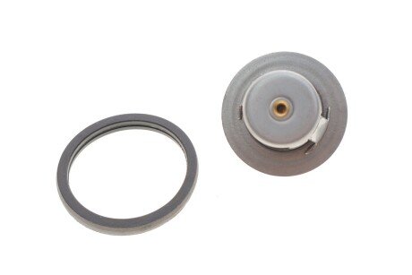 Thermostat febі Bilstein 106104