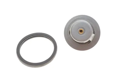 Thermostat Febі Bilstein 106104