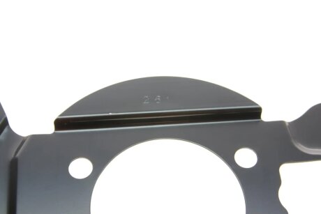 Захисний кожух (пильовик) гальмівного диска febі Bilstein 174247