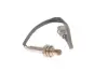 Зонд Lambda febі bilstein 175833