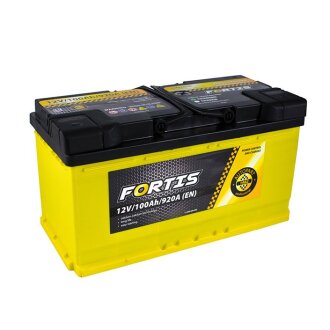 Аккумулятор (акб) 100ah (ампер) fortis FRT10000
