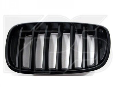 Решітка пластикова fps FP1412995 на Бмв Х5 е70