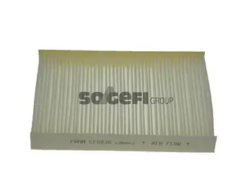 Фільтр салону FRAM CF8838 Рено Megane