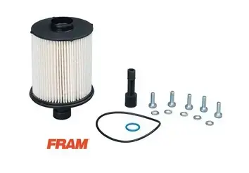 Масляный фильтр FRAM CS11971 Рено Мастер 3