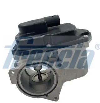 Клапан EGR freccia EGR12123 Фольксваген Пассат б6