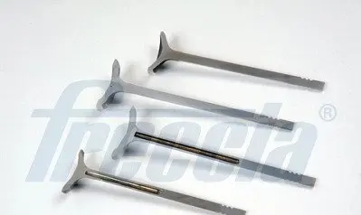 Клапан ГБЦ Freccia R8076/BMARNACR