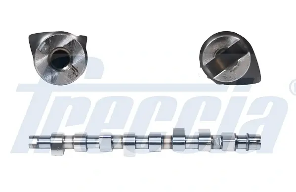 Розподільчий вал Fiat Punto/Doblo 1.9JTD 01- freccia CM052108