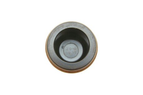 Поршень переднего тормозного суппорта frenkit P605308