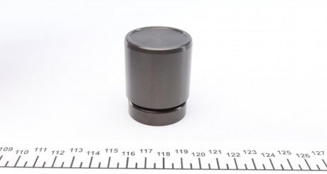 Поршень заднего тормозного суппорта frenkit P425202