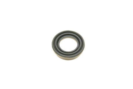 Ремкомплект заднього гальмівного супорта frenkit 234966