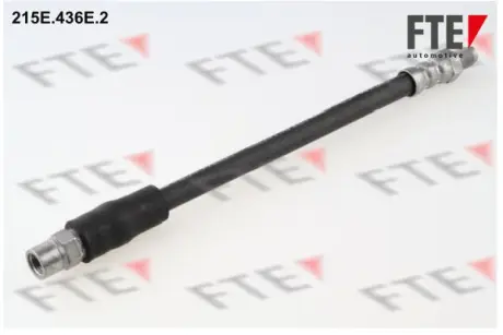 Гальмівний шланг FTE 9240079