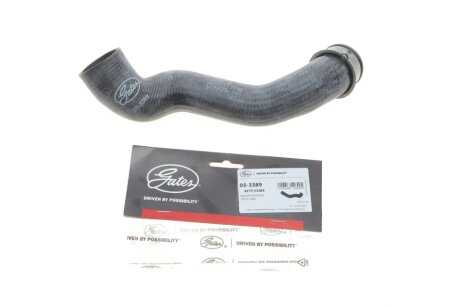 РЁР»Р°РЅРі РіСѓРјРѕРІРёР№ gates 053389