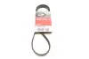 Доріжковий пас gates 5PK1248