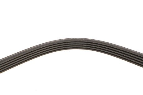 Доріжковий пас gates 5PK1250