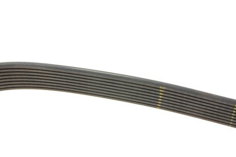 Доріжковий пас gates 8PK1310XS