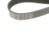 Доріжковий пас gates 8PK1310XS