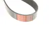Доріжковий пас gates 8PK1310XS