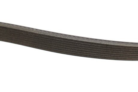 Доріжковий пас gates 8PK1920HD