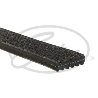 Дорiжковий ремінь gates 6DPK1352 Фольксваген Бора