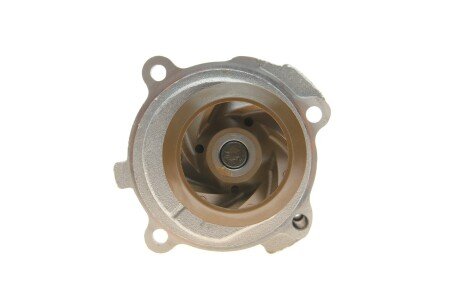 Комплект ремня грм gates KP45491XS2