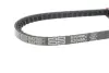 Пасок клиновидний 10X600 gates 6204MC