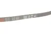 Пасок поліклиновий 4PK830/833 gates 4PK833