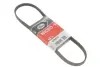 Пасок поліклиновий 4PK875/878 gates 4PK878