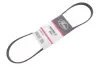Пасок поліклиновий 4PK925/926 gates 4PK923