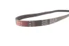 Пасок поліклиновий 4PK925/926 gates 4PK923