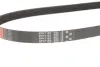 Пасок поліклиновий /1185 gates 6PK1183