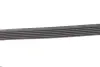 Пасок поліклиновий 6PK1560/1565 gates 6PK1565