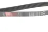 Пасок поліклиновий 6PK1560/1565 gates 6PK1565