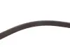 Пасок поліклиновий /2290 gates 6PK2285