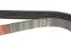 Пасок поліклиновий gates 7PK1550
