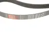 Пасок поліклиновий Alfa Romeo/ Fiat /Mitsubishi/ Nissan /Opel/ Renault/ Volvo gates 6PK1795