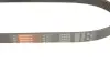 Пасок поліклиновий Audi 100 1.9-2.3 -90/ 80 2.3 -94// Hyundai H-1 2.5D 97-, H100 2.5D 93-00// Mazda 626 2.0D -96// Mitsubishi Pagero -00 Gates 6PK923 (фото 3)