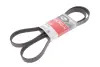 Пасок поліклиновий Audi 100 2,4D -94 BMW 316/318 -01 Citroen Berlingo/C4/C5/C8/ Ford Mondeo 1.6-2.0 93-98 VW LT 28/35/46 2.5TDi 96- gates 6PK1708