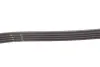 Пасок поліклиновий BMW 3 (E46) 01-05, X3 (E83) 04- Fiat Stilo (192) 01-08 gates 4PK895SF